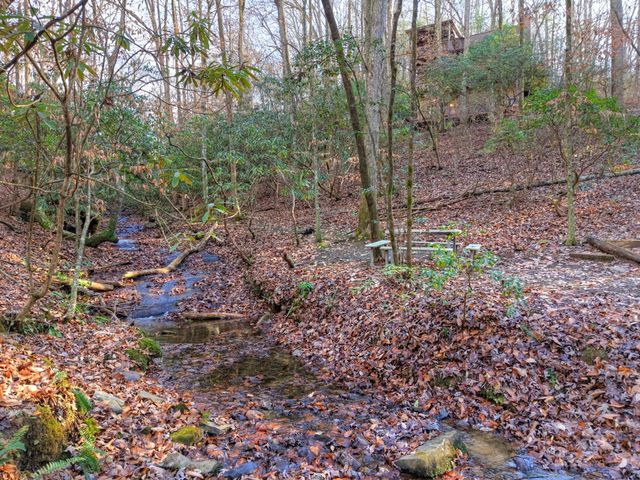 144 Hothouse View, Mineral Bluff, GA 30559