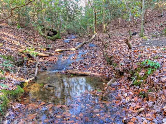 144 Hothouse View, Mineral Bluff, GA 30559