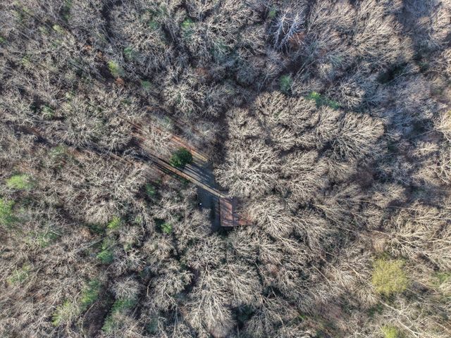 144 Hothouse View, Mineral Bluff, GA 30559