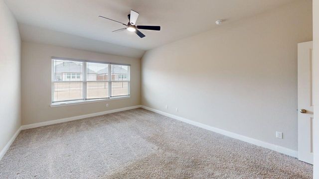 317 Tartane Drive, Anna, TX 75409