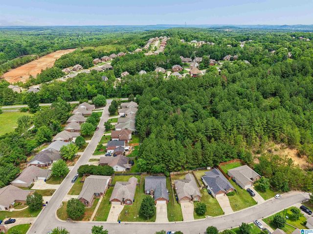 109 SUNFLOWER PLACE, Alabaster, AL 35007