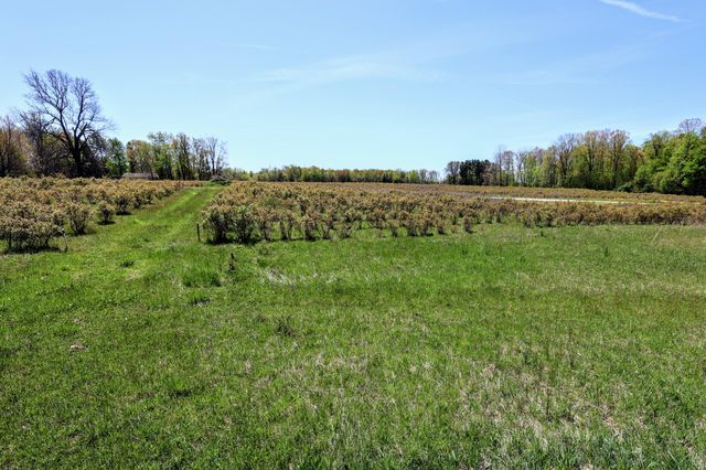 59070 Benny Ct Parcel 6, Grand Junction, MI 49056