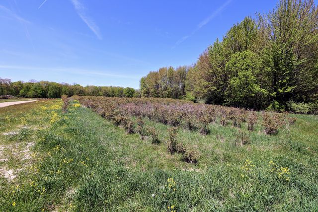 59070 Benny Ct Parcel 6, Grand Junction, MI 49056