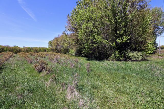 59070 Benny Ct Parcel 6, Grand Junction, MI 49056