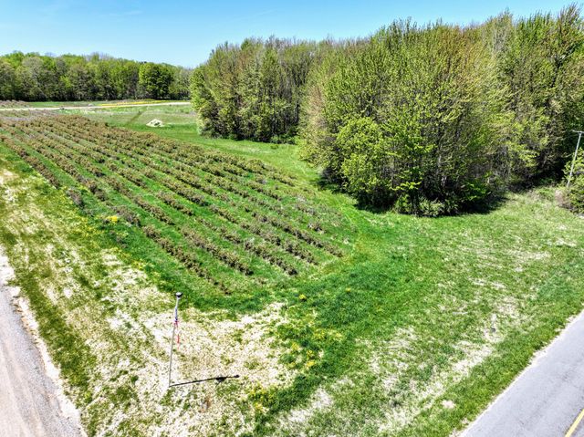 59070 Benny Ct Parcel 6, Grand Junction, MI 49056