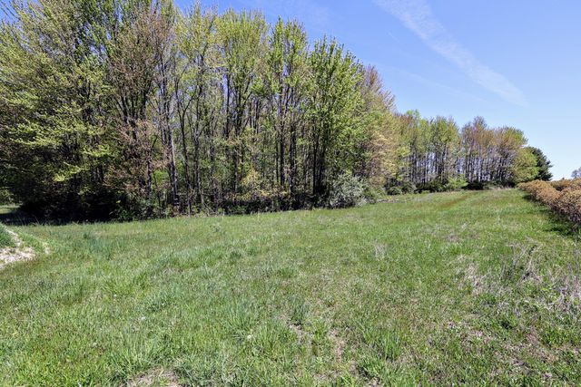 59070 Benny Ct Parcel 6, Grand Junction, MI 49056