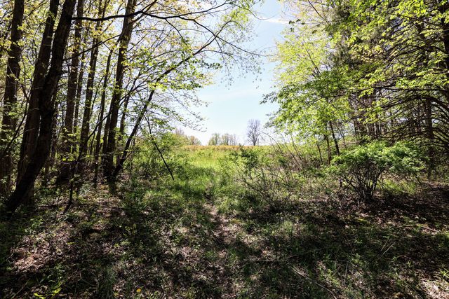 59070 Benny Ct Parcel 6, Grand Junction, MI 49056