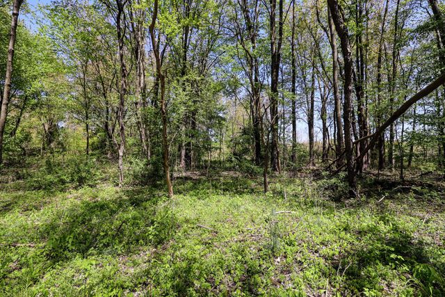 59070 Benny Ct Parcel 6, Grand Junction, MI 49056