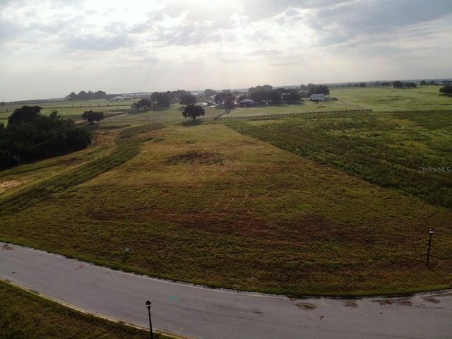10023 WHITE EGRET DRIVE, Thonotosassa, FL 33592