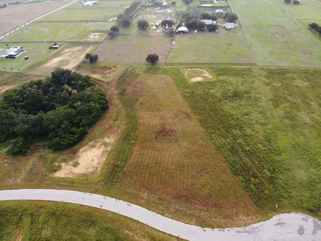 10023 WHITE EGRET DRIVE, Thonotosassa, FL 33592