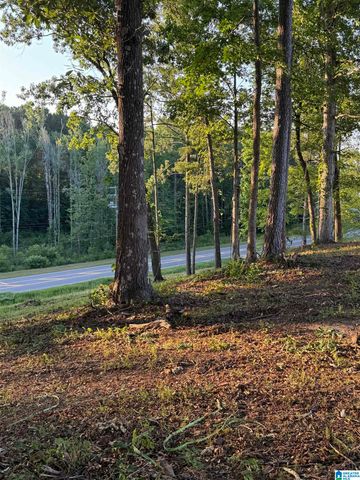 00 HIGHWAY 160, Warrior, AL 35180