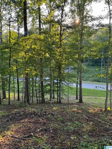 00 HIGHWAY 160, Warrior, AL 35180