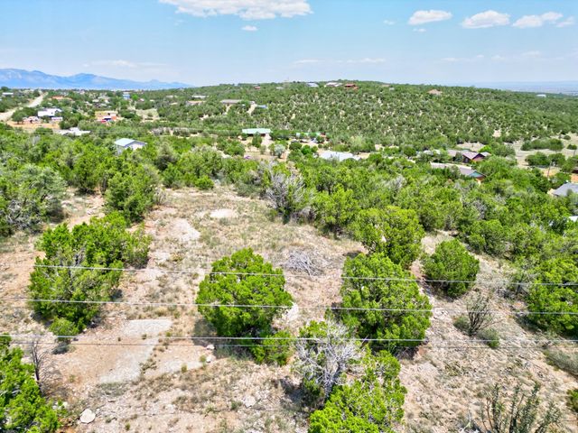0 Unassigned Road, Edgewood, NM 87015