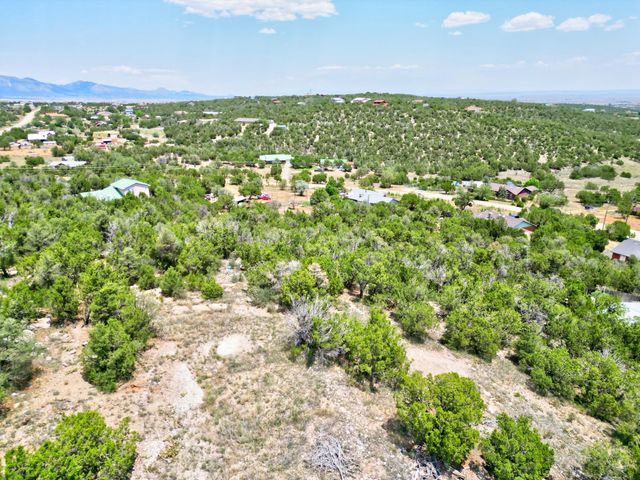 0 Unassigned Road, Edgewood, NM 87015