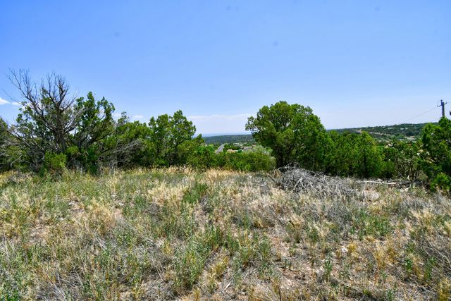 0 Unassigned Road, Edgewood, NM 87015