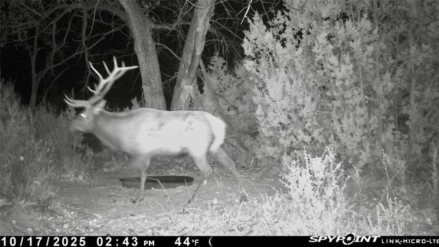 Plaza Blanca Ranch, Abiquiu, NM 87510