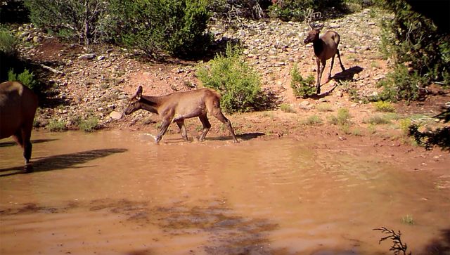 Plaza Blanca Ranch, Abiquiu, NM 87510