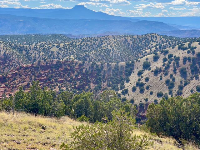 Plaza Blanca Ranch, Abiquiu, NM 87510
