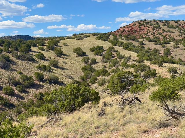 Plaza Blanca Ranch, Abiquiu, NM 87510