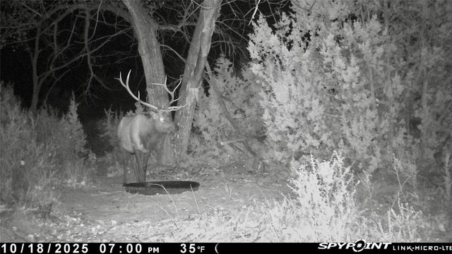 Plaza Blanca Ranch, Abiquiu, NM 87510