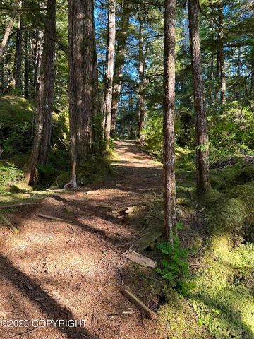 Clover Passage, Remote, AK 99901