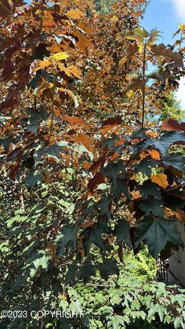 Clover Passage, Remote, AK 99901