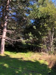 829 Spring Road, Shelter Cove, CA 95589