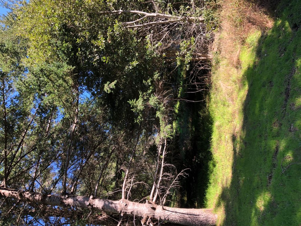 829 Spring Road, Shelter Cove, CA 95589