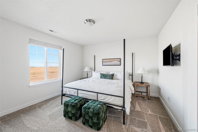 19133 W 95th Lane, Arvada, CO 80007