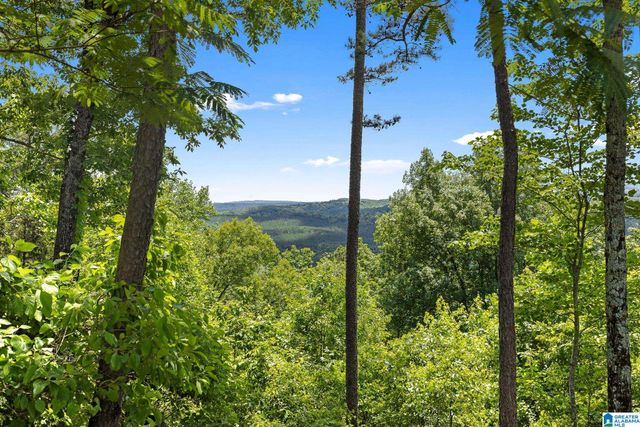 575 MOUNTAIN VIEW LANE, Springville, AL 35146