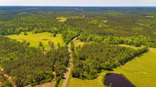 NA Fm-942, Livingston, TX 77351