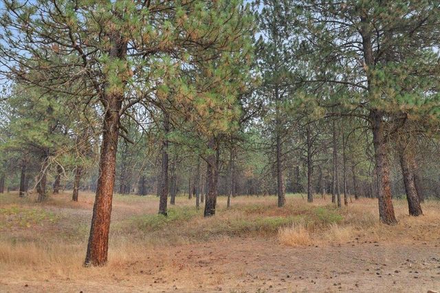 705 Winslow Rd, Colville, WA 99114