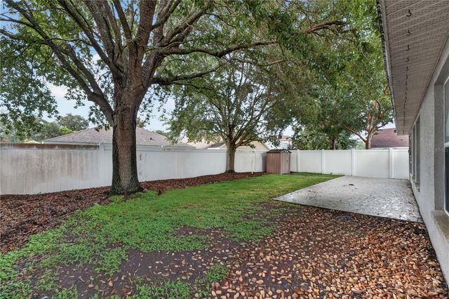 2020 BRIARCLIFF CIRCLE, Mount Dora, FL 32757