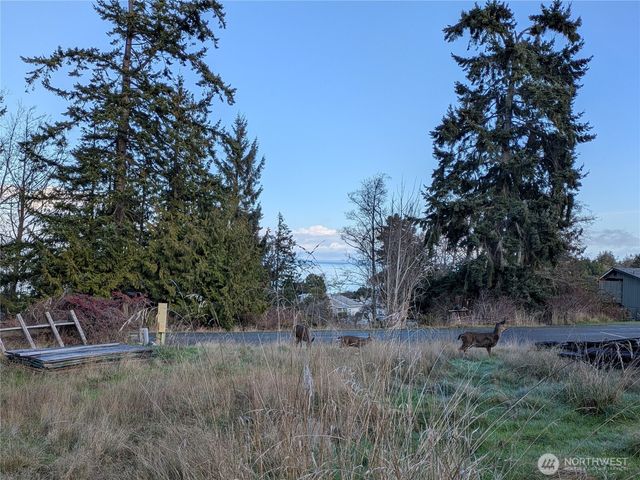 173 Island Vista Way, Port Angeles, WA 98362