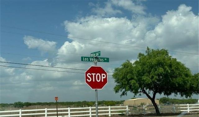 34313 Buck Fawn Drive, Edinburg, TX 78541