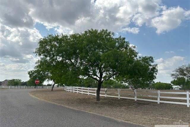 34313 Buck Fawn Drive, Edinburg, TX 78541