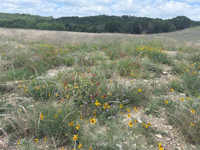 10151 Horizon View, Tolar, TX 76476