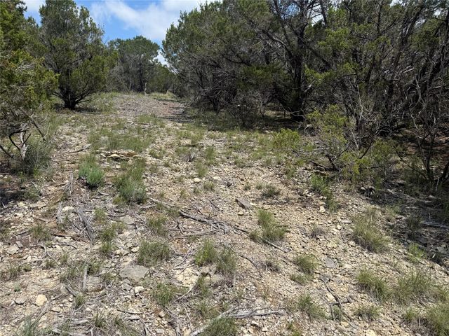 10151 Horizon View, Tolar, TX 76476