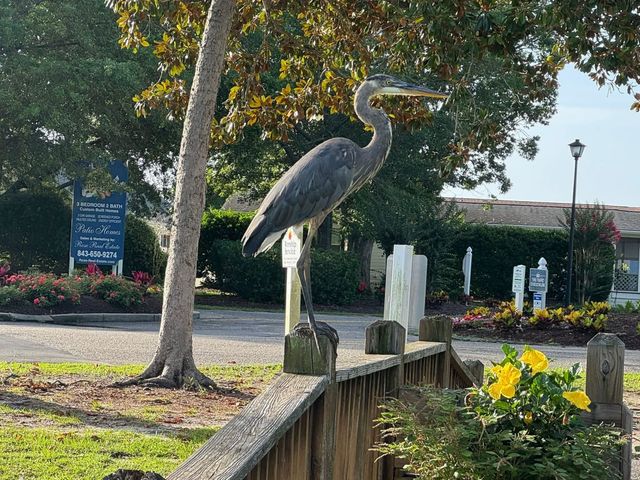 1942 Kingfisher Dr., Surfside Beach, SC 29575