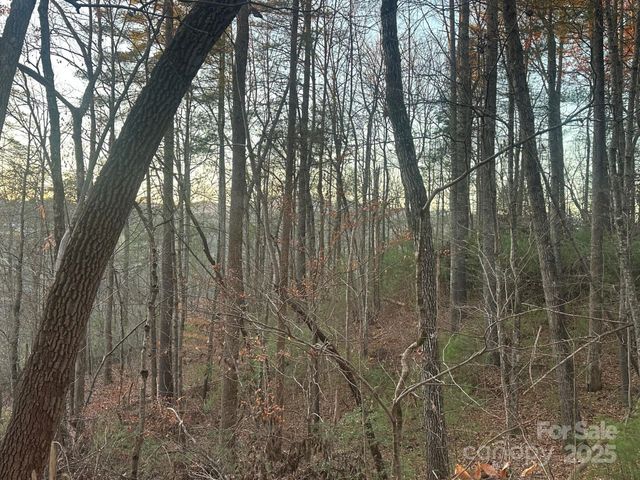 2830 Nix Creek Road, Marion, NC 28752