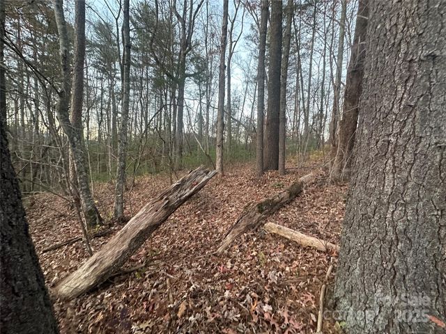 2830 Nix Creek Road, Marion, NC 28752