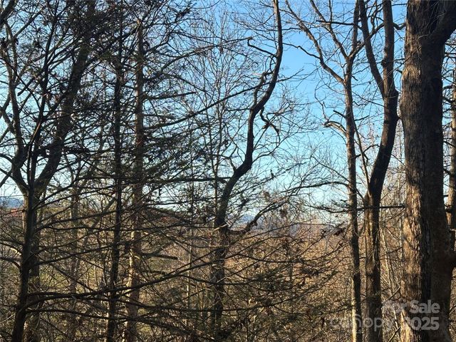 2830 Nix Creek Road, Marion, NC 28752