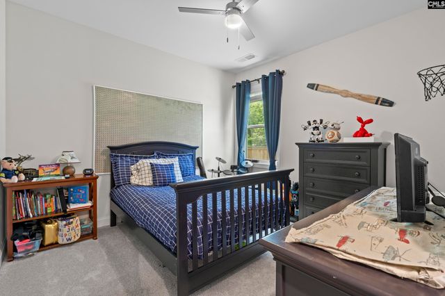 718 Cold Springs Lane, Irmo, SC 29063