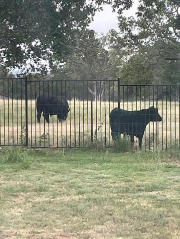 203 Zuma DR, Liberty Hill, TX 78642