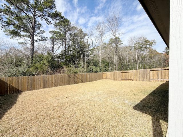 11720 Whirlaway Drive, Willis, TX 77318