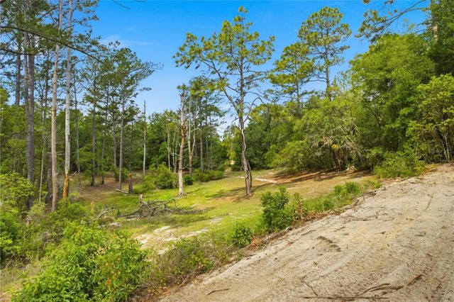 124 GUAVA TERRACE, Ocklawaha, FL 32179