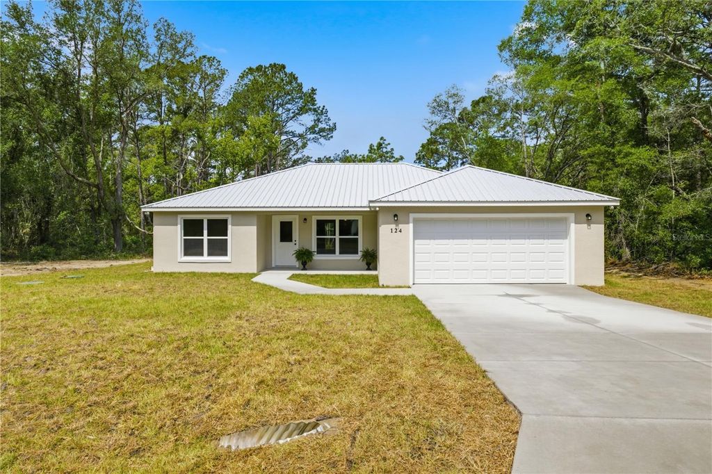 124 GUAVA TERRACE, Ocklawaha, FL 32179