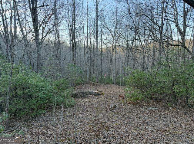 0 Gove, Sautee Nacoochee, GA 30571