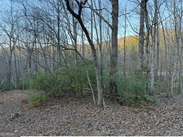 0 Gove, Sautee Nacoochee, GA 30571