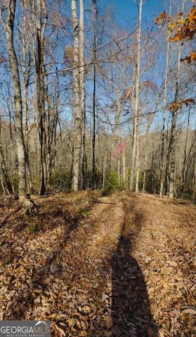 0 Gove, Sautee Nacoochee, GA 30571